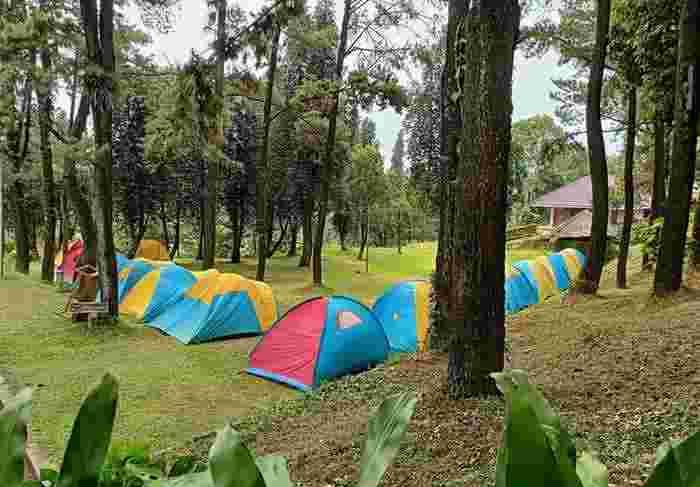 Paket Camping LDK & Edukasi Hambalang Sentul – suasana camping dan tenda di alam