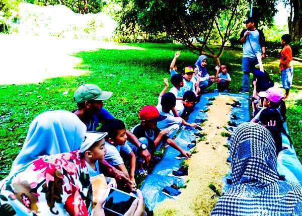 Agro edukasi anak di alam – belajar pertanian